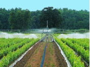 Irrigation booms
